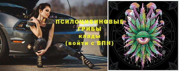 прущие грибы Алексин