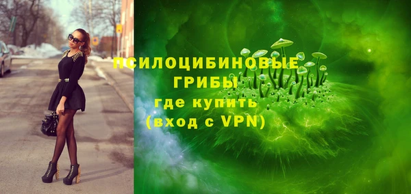 прущие грибы Алексин