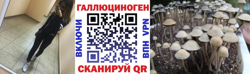 продажа наркотиков  Похвистнево  Псилоцибиновые грибы мухоморы 