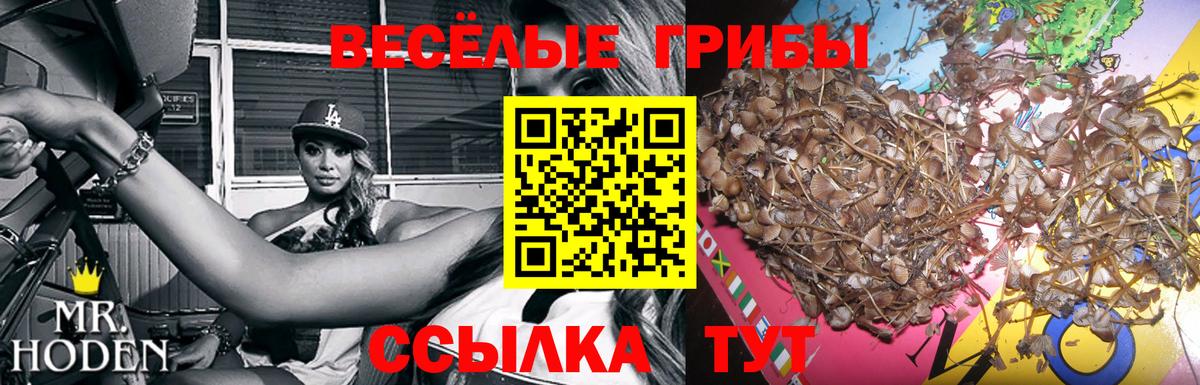 Псилоцибиновые грибы мухоморы  Вход с VPN  Похвистнево 